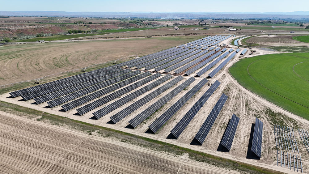 Solar Panels in a Field